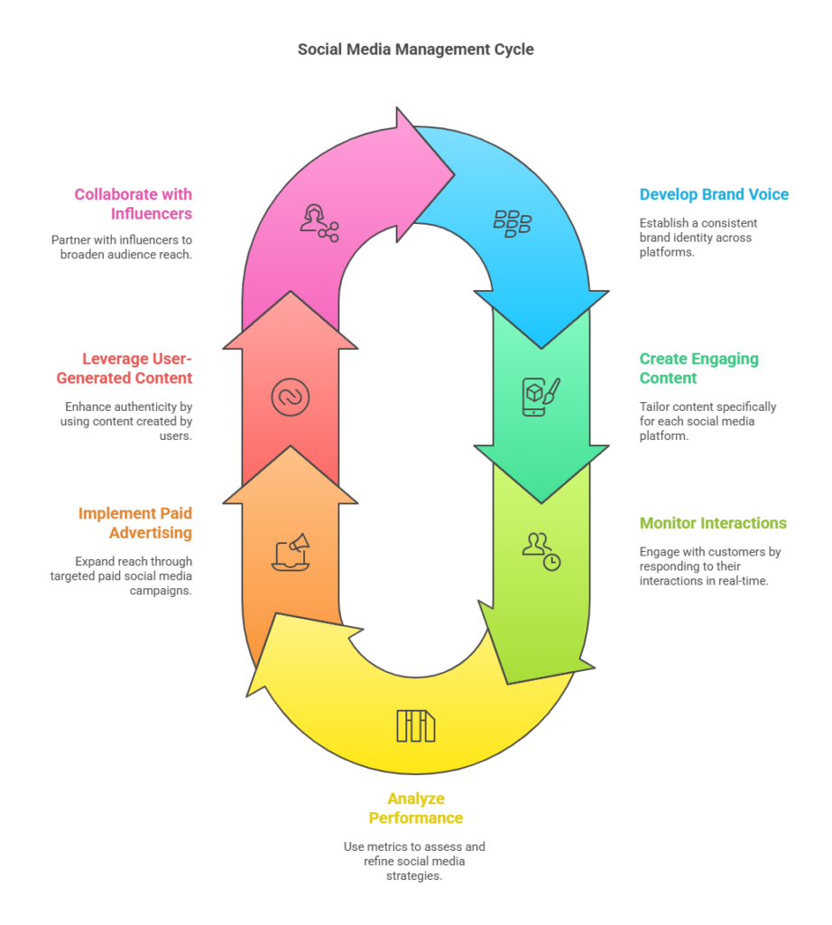 social media management cycle infographic